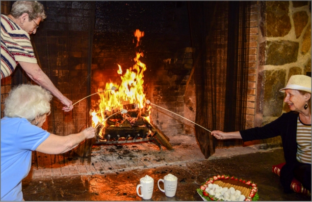 Cadbury friends seniors fireplace