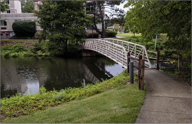 Cadbury grounds bridge