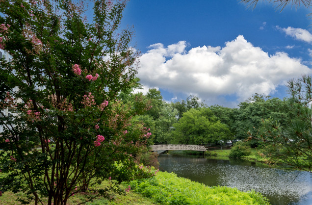 Cadbury photo building