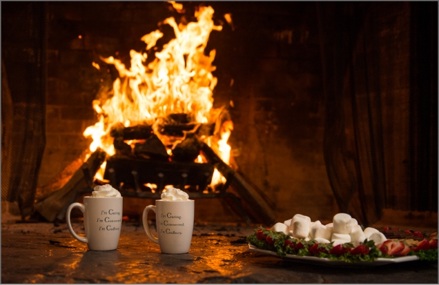 Cadbury warmth fireplace